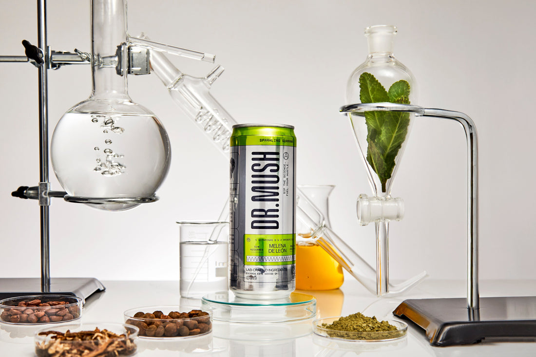 Dr. Mush: energía consciente, foco real y bienestar en cada lata